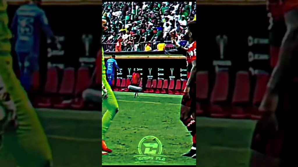 Treta Gabigol x Weverton #shorts #flamengo