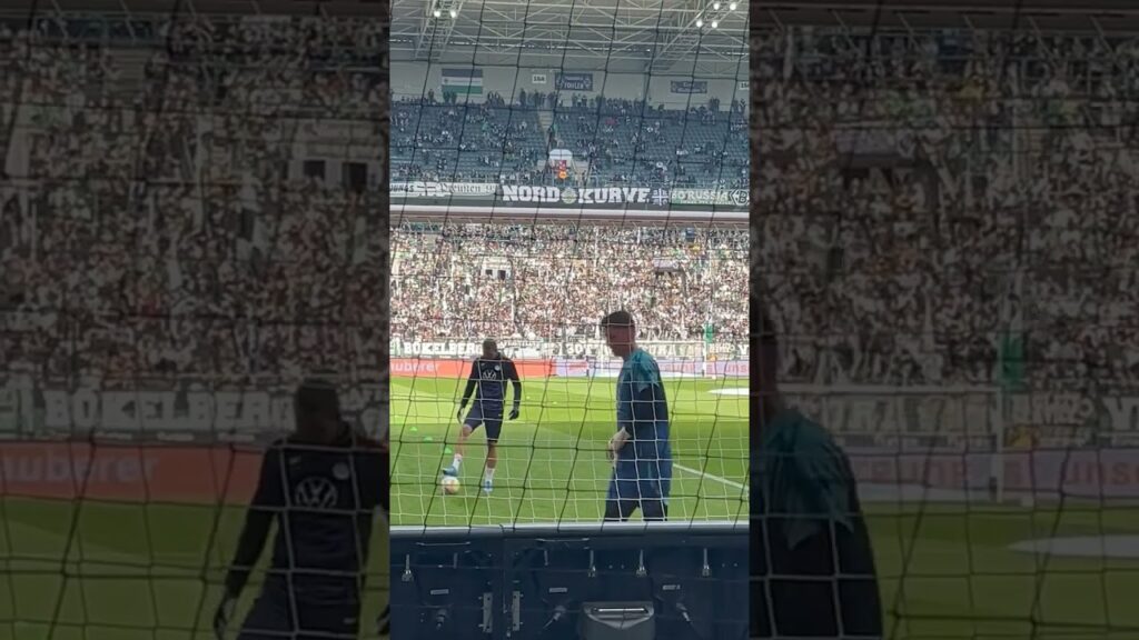 Wolfsburg goalkeeper Koen Casteels (Belgium)