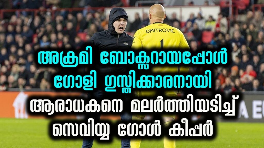 Sevilla goalkeeper Marko Dmitrović punched by pitch invader