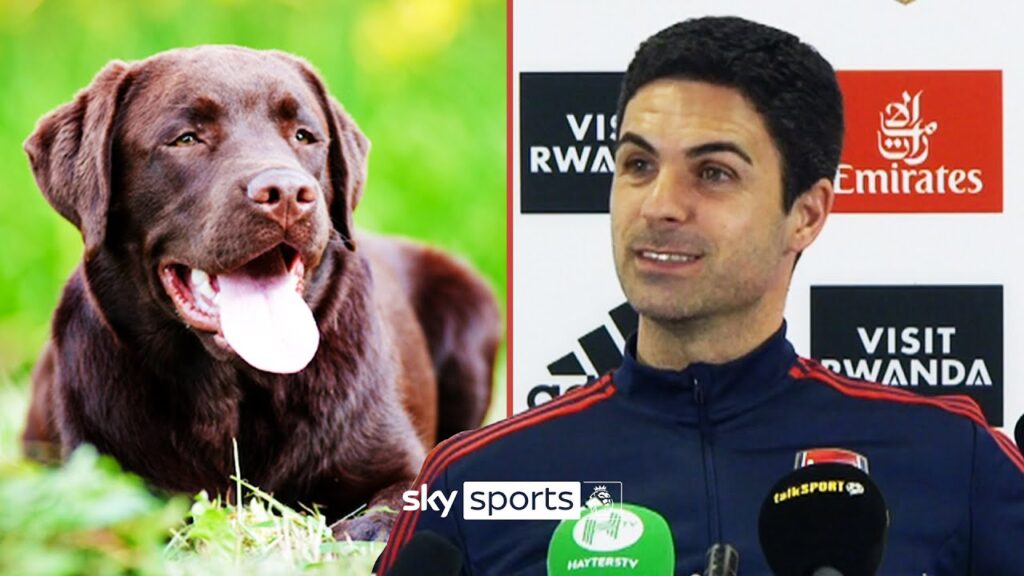Arsenal have a training ground dog called 'Win'! | Mikel Arteta reveals all about new club pooch 🐶