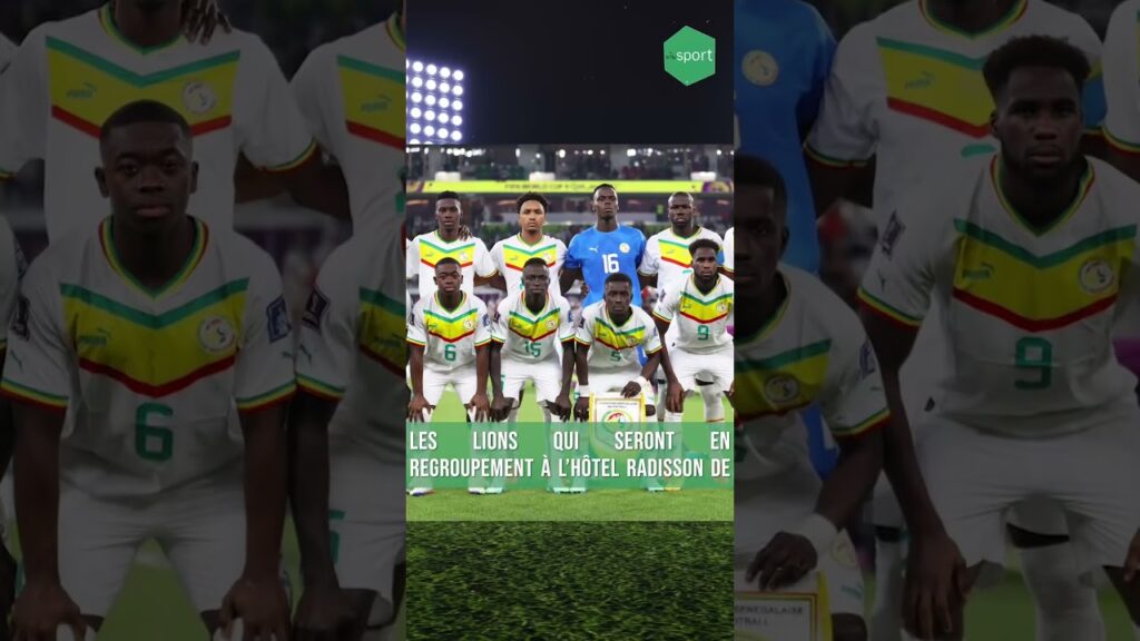 La tanière d'Aliou Cissé ouvre ses portes aujourd'hui !