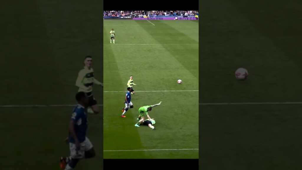 Pickford hits Haaland😱