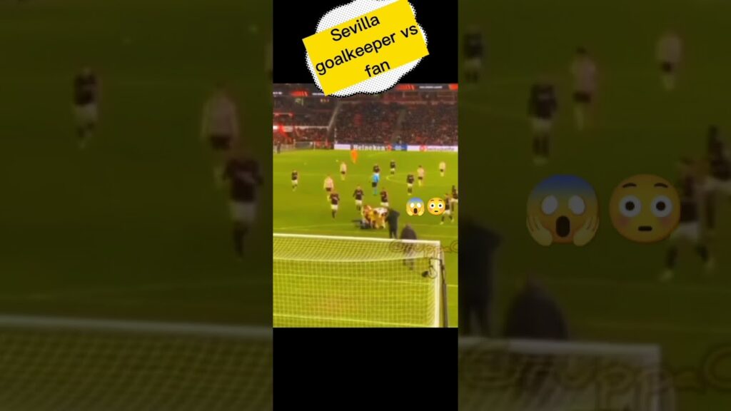 marko dmitrović vs fan😡