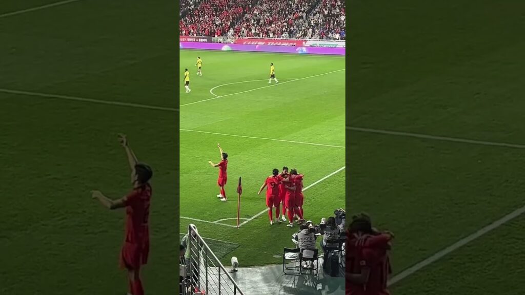 손흥민 골 직후 직캠 | 축구 친선경기 | 대한민국:콜롬비아 | A매치 | 조규성 황인범 정우영 김민재 이재성