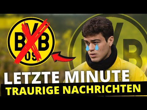 BvB: Leider ist es passiert! Jetzt bestätigt! Auf Wiedersehen Giovanni Reyna! Neuigkeiten von BvB
