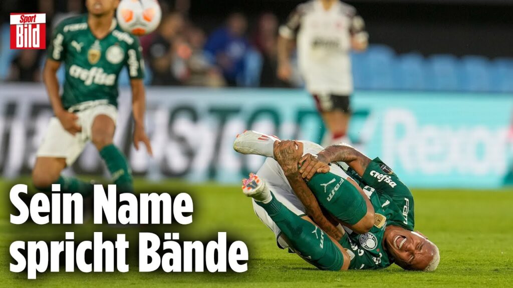 Nach „Foul“ vom Schiri: Deyverson mit Jahrhundert-Schwalbe Nach „Foul“ vom Schiri: Deyverson mit Jahrhundert-Schwalbe