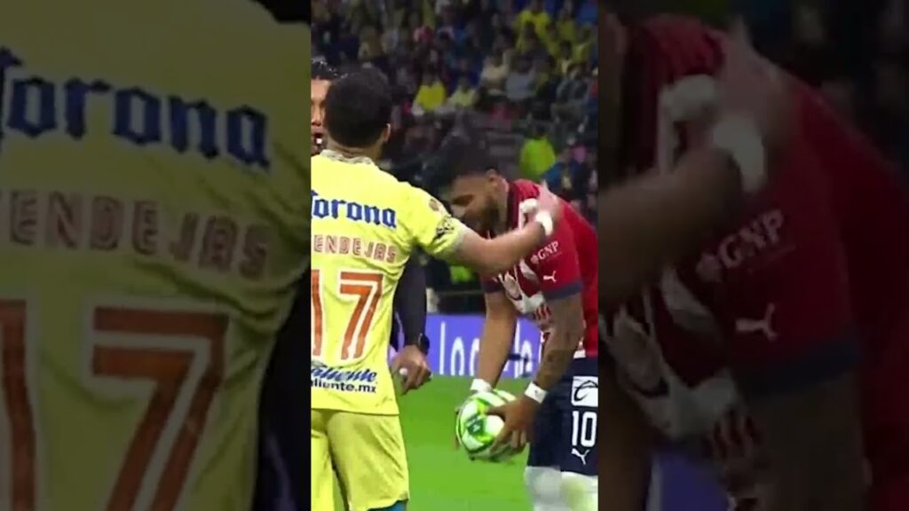 “ME PELAS la VER*A” | VEGA vs ZENDEJAS | #shorts "ME PELAS la VER*A" | VEGA vs ZENDEJAS | #shorts