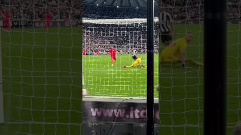 Callum Wilson goal. Nufc v Brighton. St james park. 18.5.23