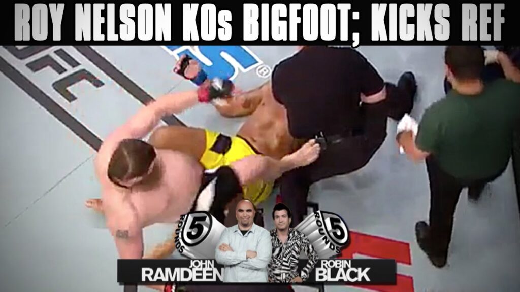 UFC Brasilia Recap: Roy Nelson Stops Antonio Silva; Kicks John McCarthy on 5 Rounds