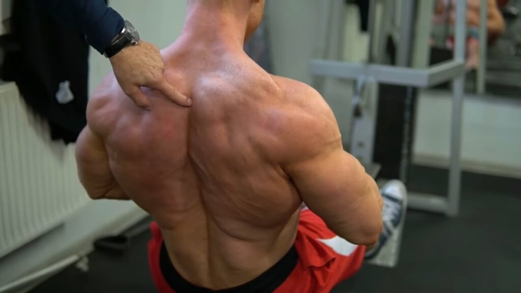 PLECY wg JERZEGO SZYMAŃSKIEGO PLECY wg JERZEGO SZYMAŃSKIEGO