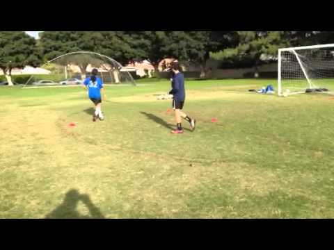 Soccer training-Ahmadreza abedzadeh/Mehdi Ansari
