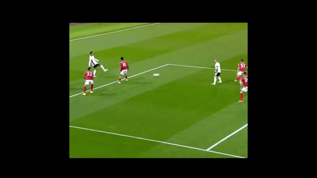 Joao Palhinha profile