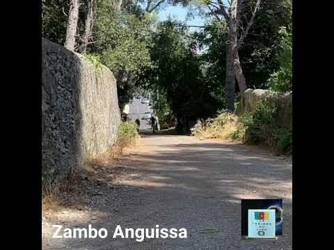 Zambo Anguissa