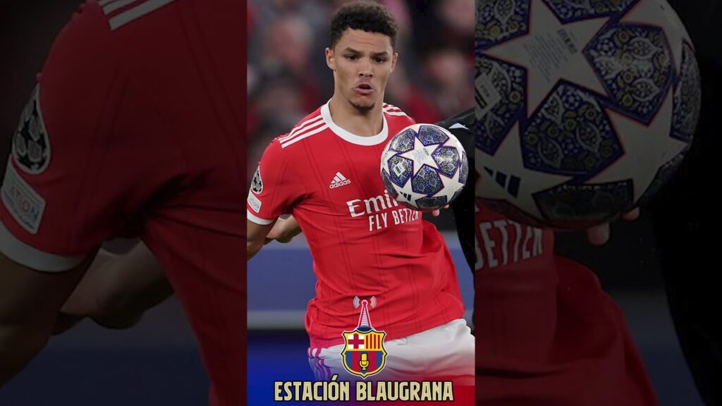 🚨El Barça se interesa en Alexander Bah #barcelona #fichajes