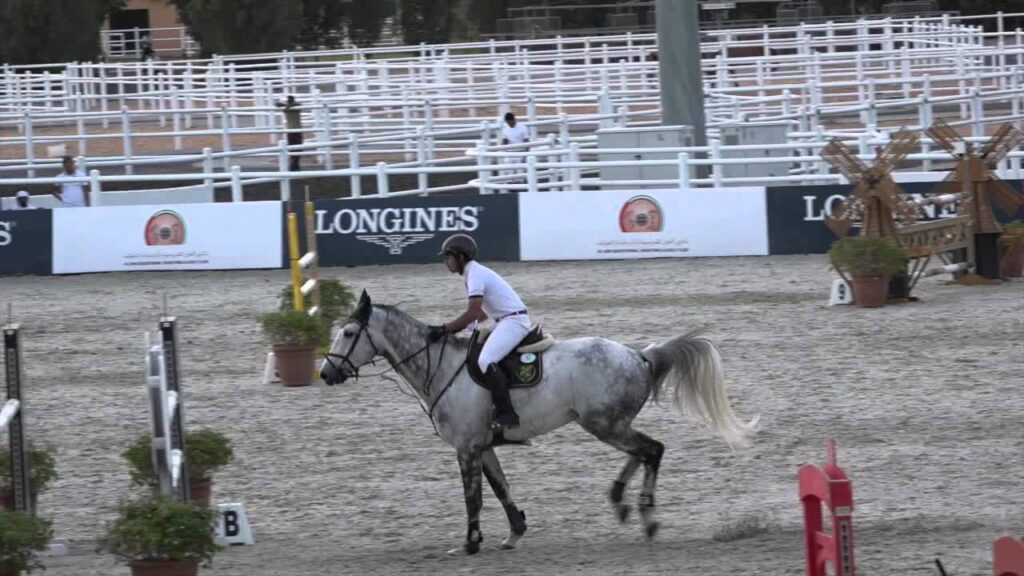 4th Place for Avelon with Rider Mohamed Omran Al Owais in Small Tour.