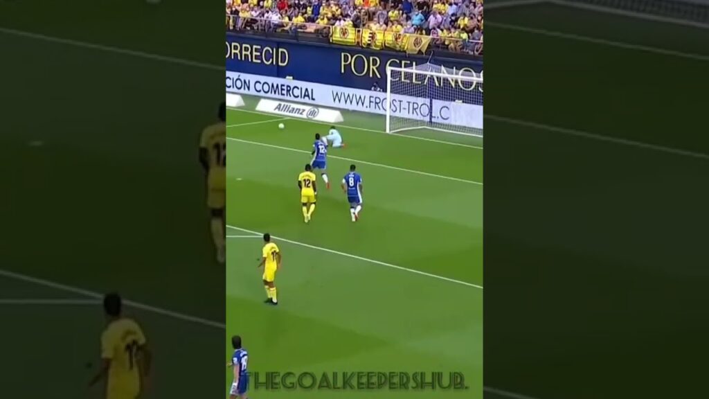 Gerorulli showing his best skills 🧤🧤🧤⚽