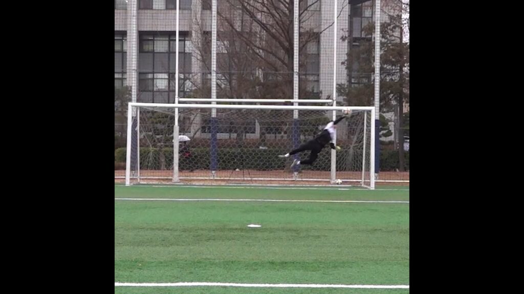 골키퍼 미쳤네 ㄷㄷ;;