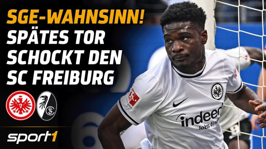 Eintracht Frankfurt - SC Freiburg | Bundesliga Tore und Highlights 34. Spieltag