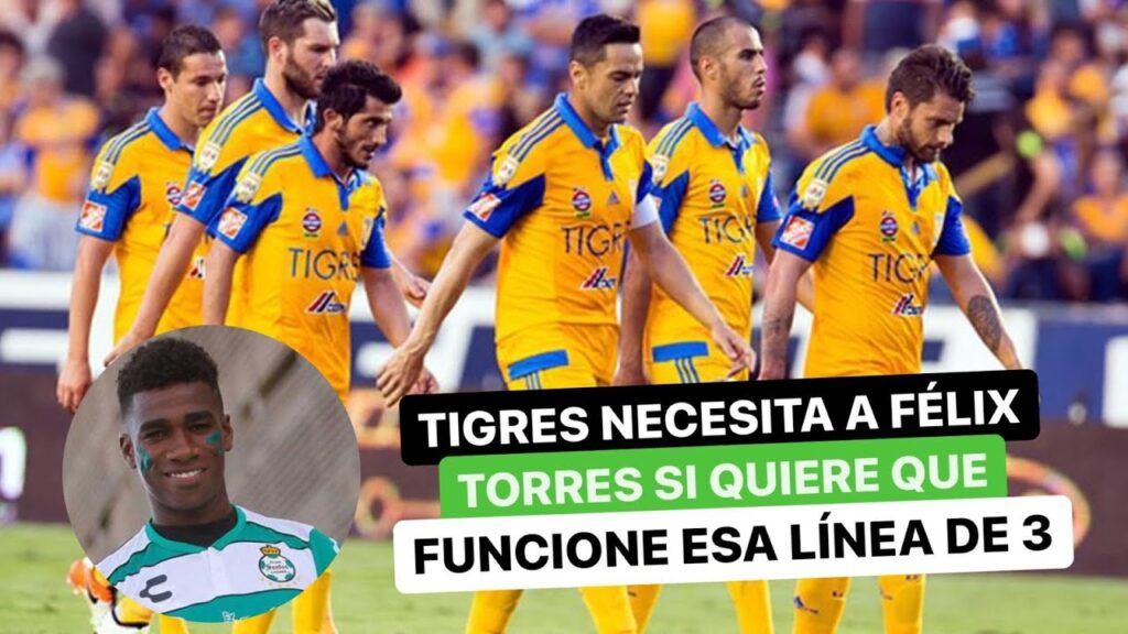 TIGRES necesita a FÉLIX TORRES si quiere que funcione esa línea de 3 TIGRES necesita a FÉLIX TORRES si quiere que funcione esa línea de 3