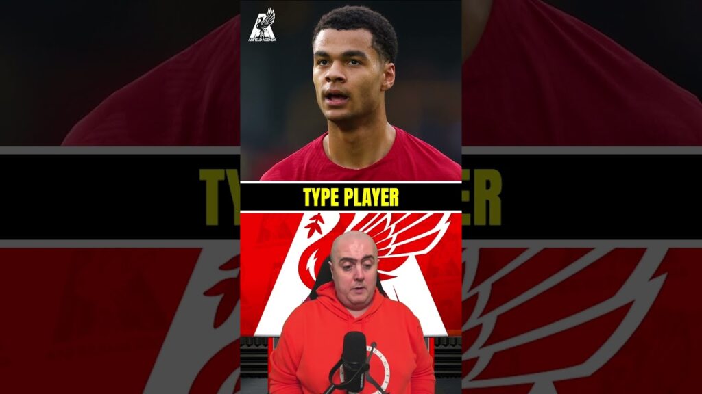 "I didn't understand the Cody Gakpo signing, at all..."