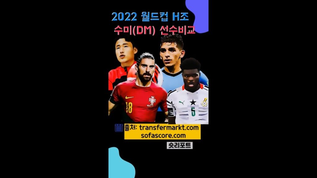 2022 카타르 월드컵 H조 수비형미드필더 (DM) 선수비교
