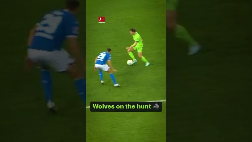 What a Pass!  #casteels