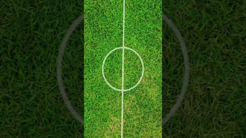 Salem Al-Dawsari's winning goal stuns Argentina in Saudi Arabia upset! 🇸🇦 | #ShortsFIFAWorldCup