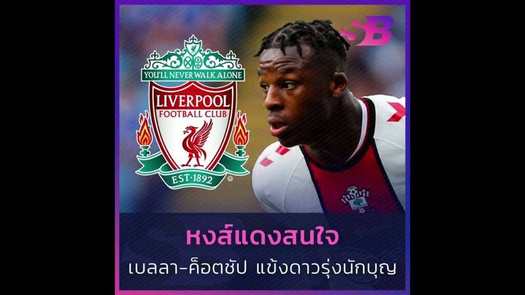 ลิเวอร์พูลสนใจ เบลลา-ค็อตชัป #liverpool #bellakotchap #เบลลาค็อตชัป #ลิเวอร์พูล #ลิเวอร์พูลล่าสุด ลิเวอร์พูลสนใจ เบลลา-ค็อตชัป #liverpool #bellakotchap #เบลลาค็อตชัป #ลิเวอร์พูล #ลิเวอร์พูลล่าสุด