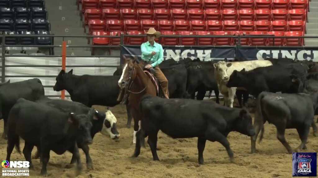 2021 Quarter Horse Congress 5k Novice Horse Non Pro Jennifer Buchanan on TC Wilson