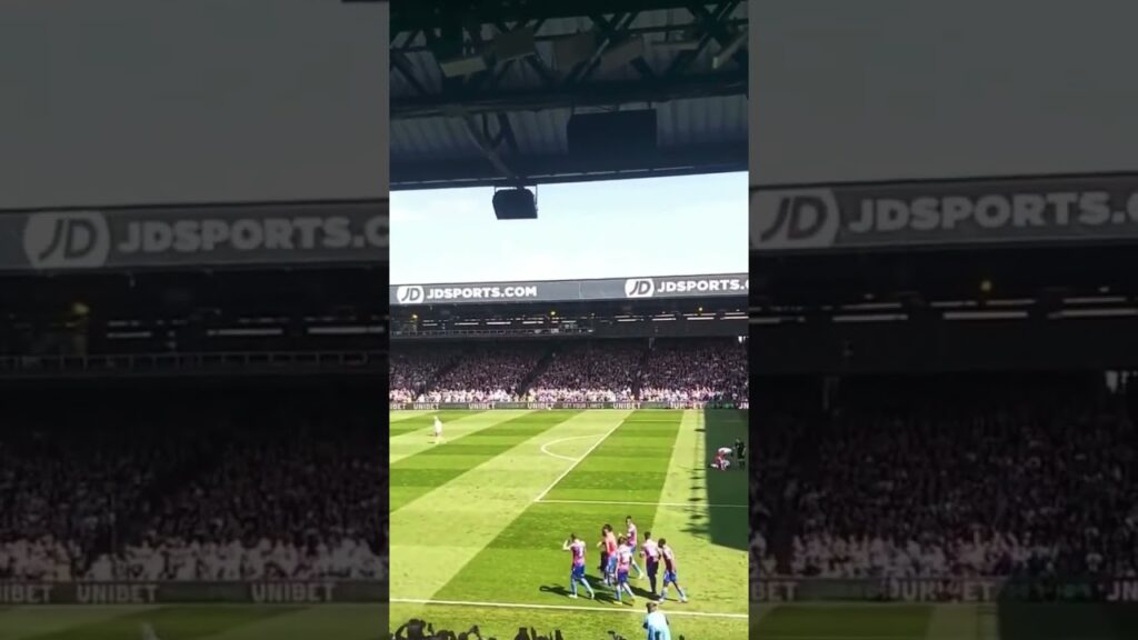 Jordan Ayew celebration after his goal vs West Ham 2023