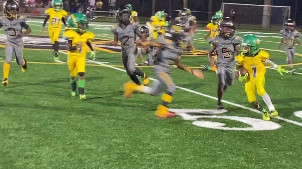 🚨🚨 BALLER ALERT RORO JR. SHOW OUT ON LIBERTY CITY WARRIORS 7U #fyfl#rnrtop100#footballville