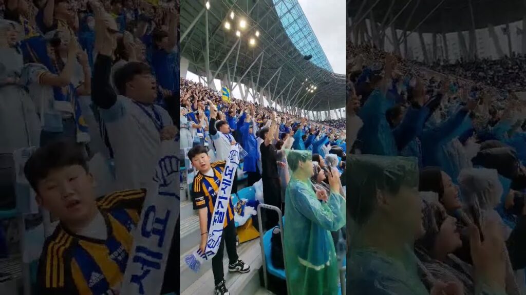 울산현대vs대구FC 잘있어요 #울산현대 #조현우 #김영권 #루빅손