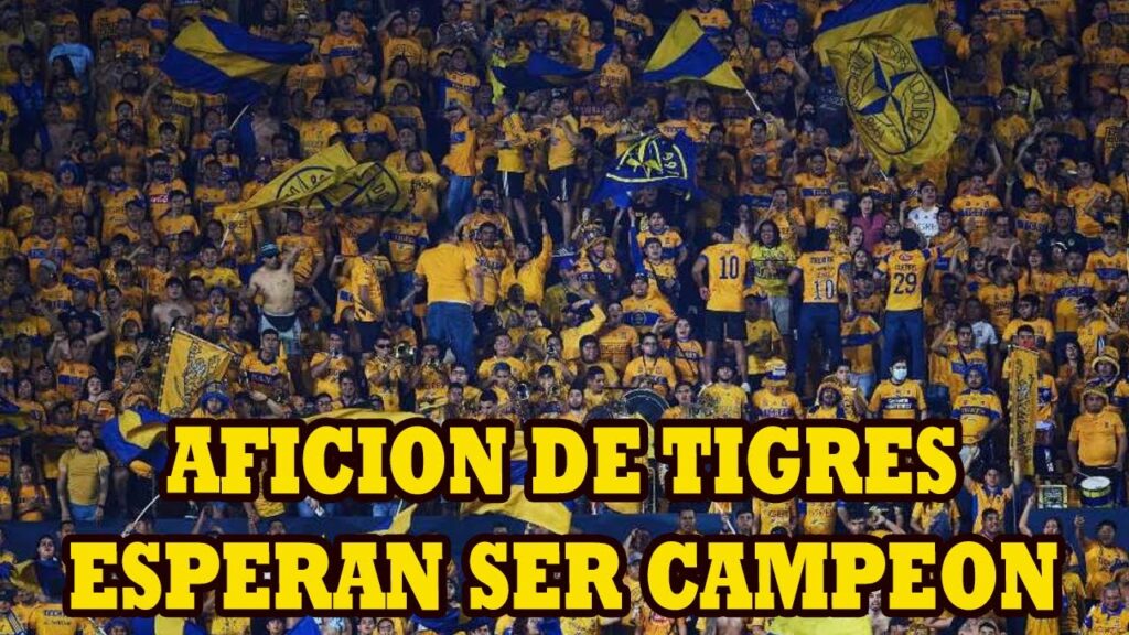 Aficionados de Tigres Esperan con Mucha Ansiedad el Titulo de Campeon esperando la Final de Vuelta