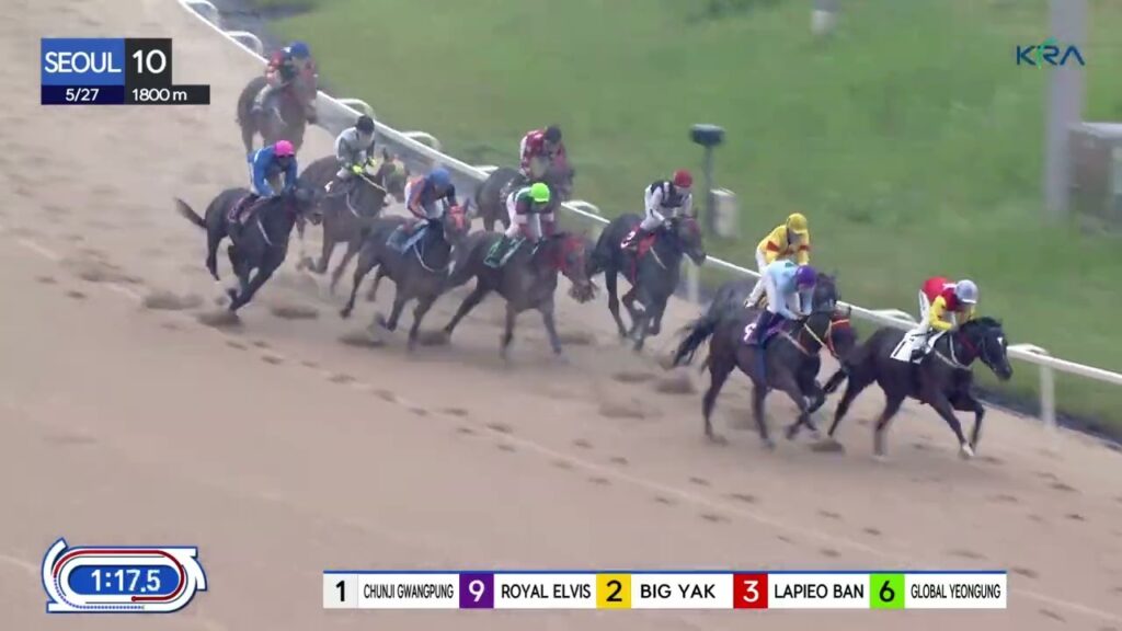 (Seoul) 2023.05.27 R10 Class 3 (1800M) Special Weight B