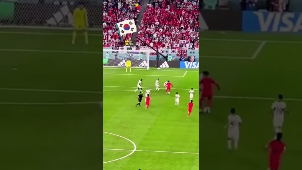 Son Heung Min Goal Assist Hee Chan - South Korea 2-1 Portugal