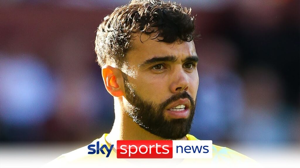 Manchester United and Tottenham reluctant to pay £40m for Brentford goalkeeper David Raya