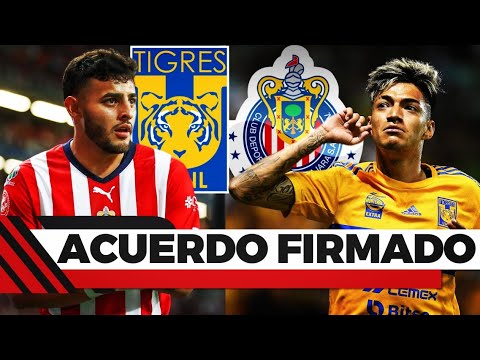SE ACABO LA NOVELA ALEXIS VEGA NUEVO REFUERZO DE TIGRES A CAMBIO DE RAYMUNDO FULGENCIO PARA CHIVAS SE ACABO LA NOVELA ALEXIS VEGA NUEVO REFUERZO DE TIGRES A CAMBIO DE RAYMUNDO FULGENCIO PARA CHIVAS