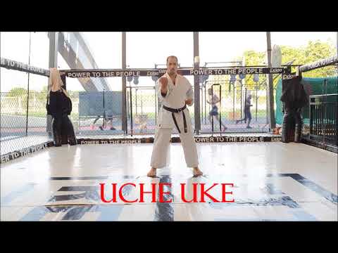 KARATE BASICS  VOL,1