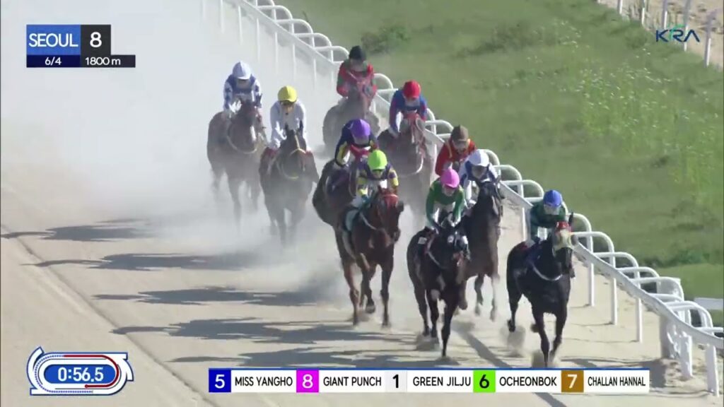 (Seoul) 2023.06.04 R8 Class 4 (1800M) Special Weight B