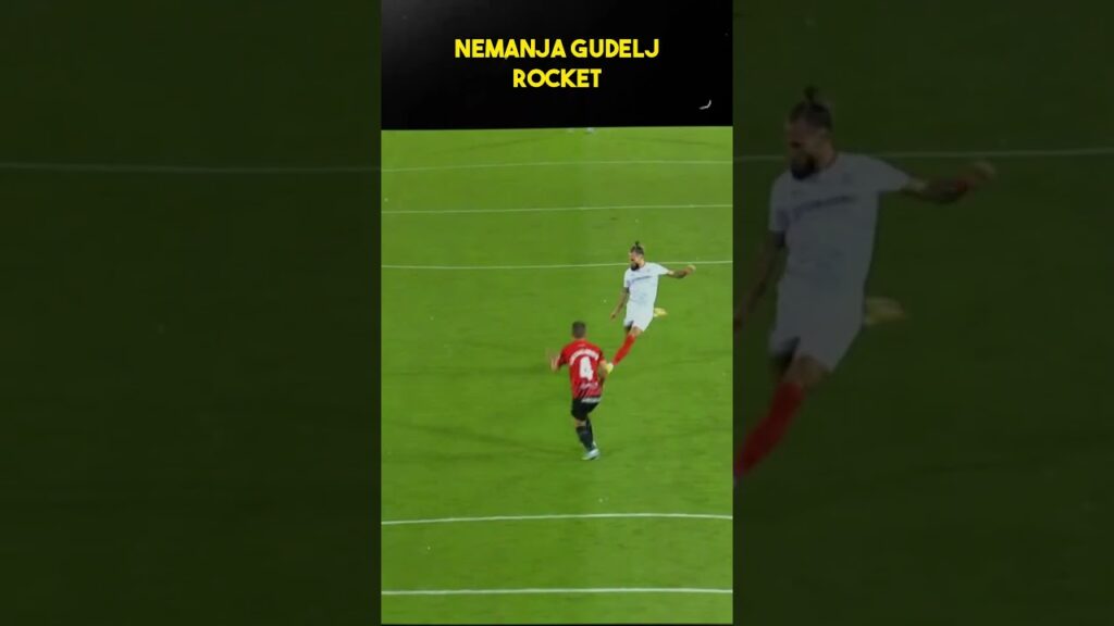 Goal Masterpiece by Nemanja Gudelj #shrots