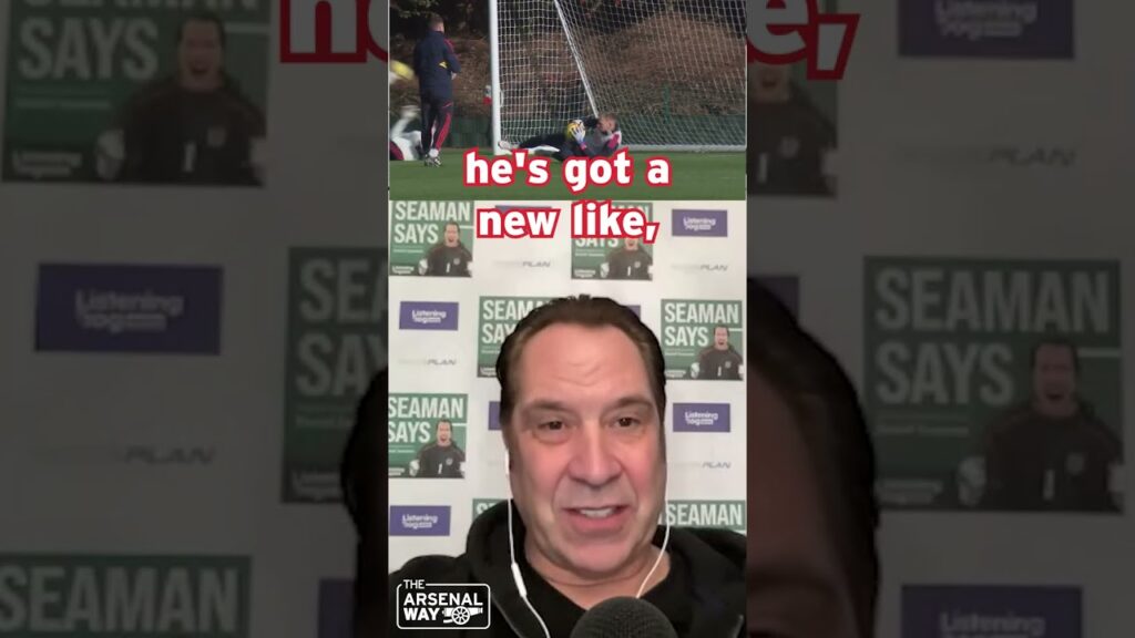 "ACCOMPLISHED GOALKEEPER" Arsenal Legend David Seaman PRAISES Aaron Ramsdale!🧤 #Shorts