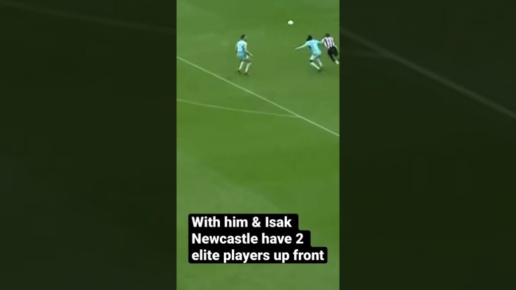 Callum Wilson is underrated! One of the best CF in the league? 🔥 #football #premierleague #shorts