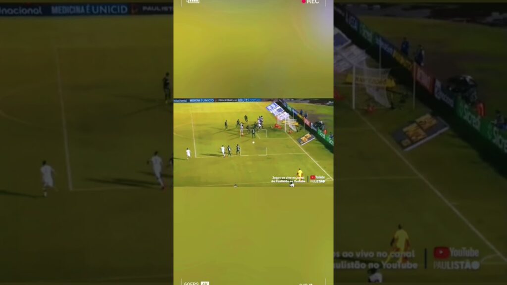 defesa do weverton inacreditável contra o São Paulo #shorts #futebol #palmeiras #weverton #impossive