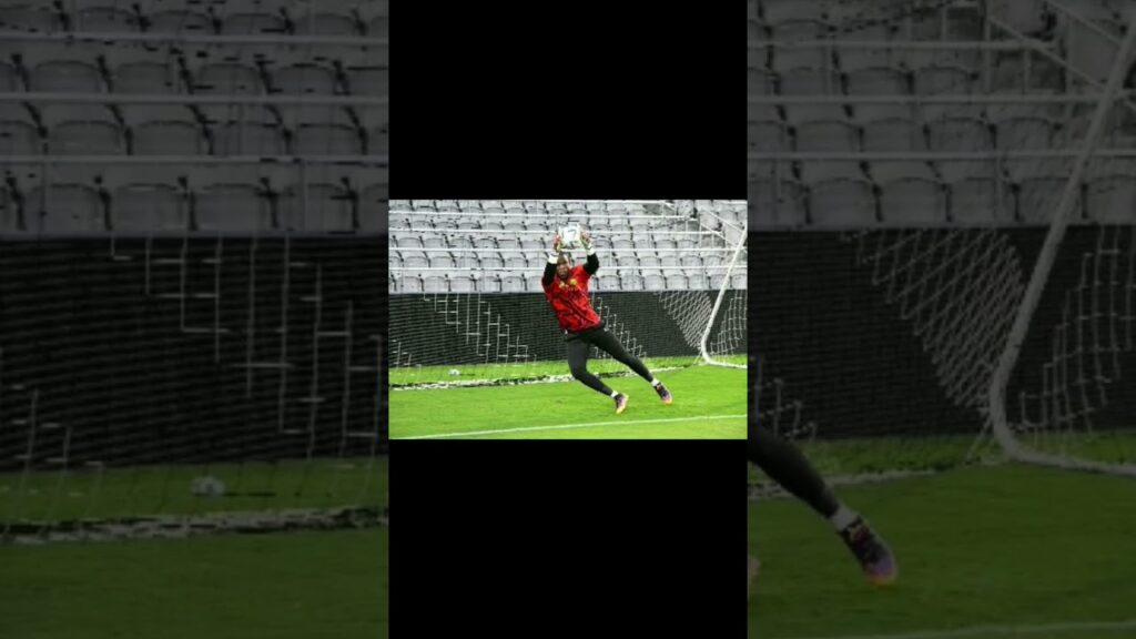 Match contre le Mexique : voici le probable entrant, Fabrice Ondoa titulaire à la place de Epassy