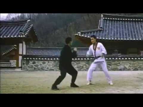 Jung Kook Hyun Taekwondo (From the movie Taekwon Fighters 1994 )