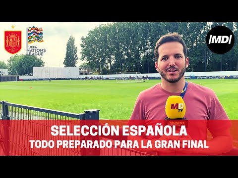 De la Fuente podrá contar con Olmo para la final de la UEFA Nations League