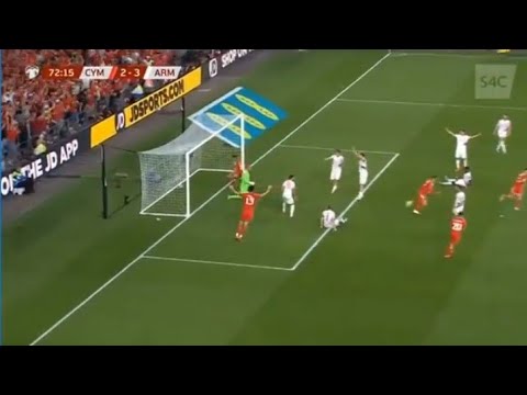 Wales fans celebrate after Harry Wilson goal vs Armenia (euros 2024 qualifiers) ⚽⚽