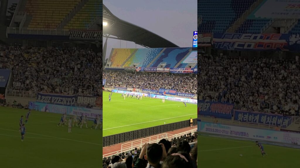 조현우도 막을수 없었던 이기제의 호날두급 프리킥클라스