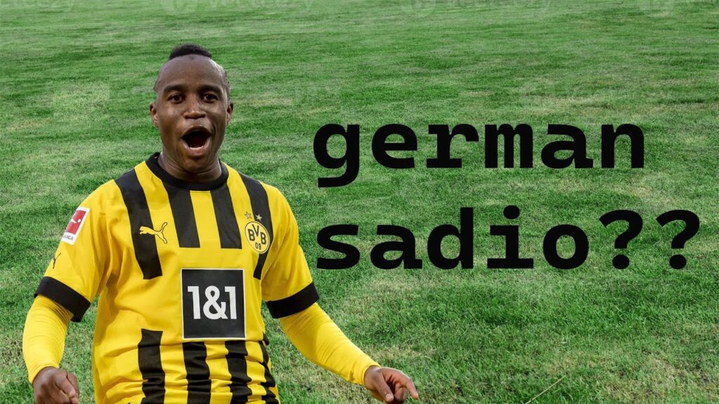 I found a new Sadio Mane..