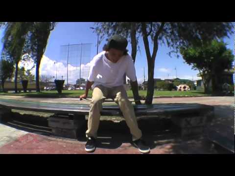 Nuevo integrante del equipo PLX